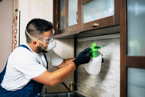 Best Insect Control  in Lawrence, KS