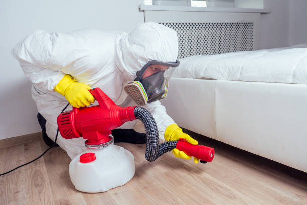 Best Pest Control for Homes  in Lawrence, KS
