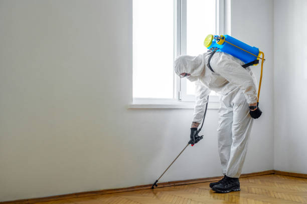 Best Pest Removal Services  in Lawrence, KS