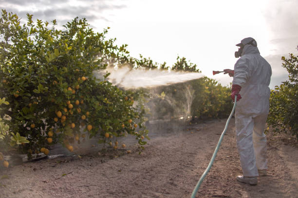 Best Pest Inspection Near Me  in Lawrence, KS