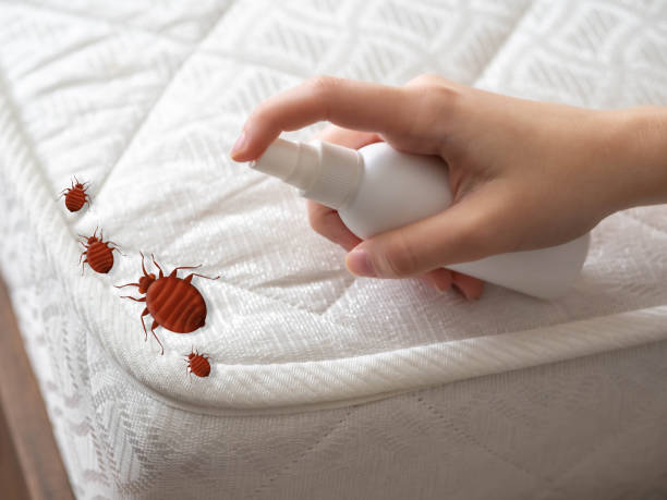 Best Cockroach Control Services  in Lawrence, KS