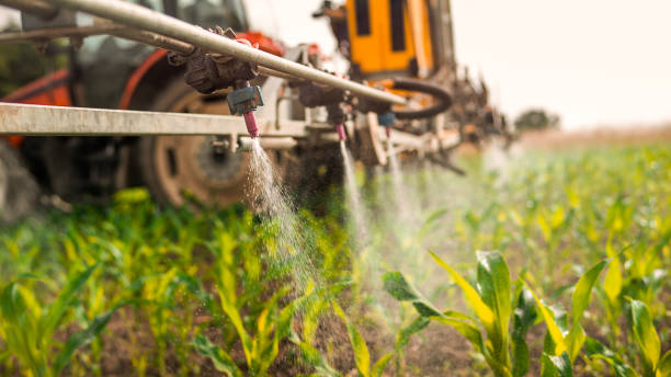 Best Ant Control Services  in Lawrence, KS