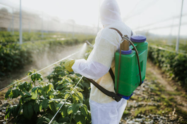 Best Pest Control Near Me  in Lawrence, KS